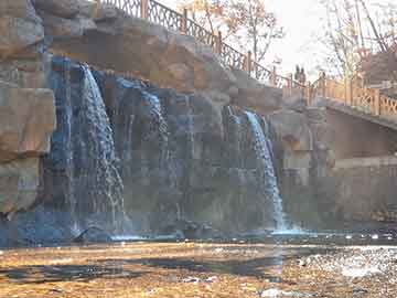 多倫公園最新動態(tài)，城市綠肺的新篇章