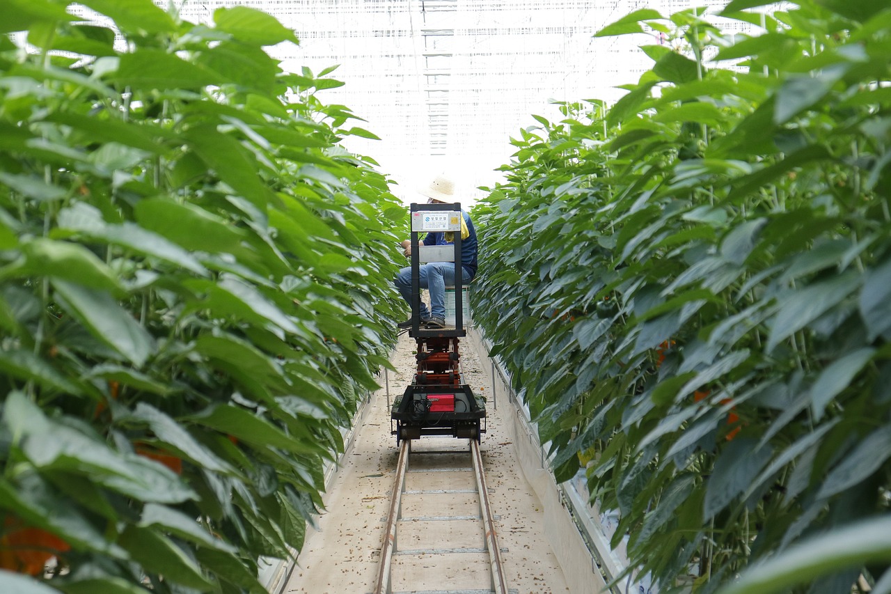 廣東省最窮的農(nóng)村，挑戰(zhàn)與機(jī)遇并存