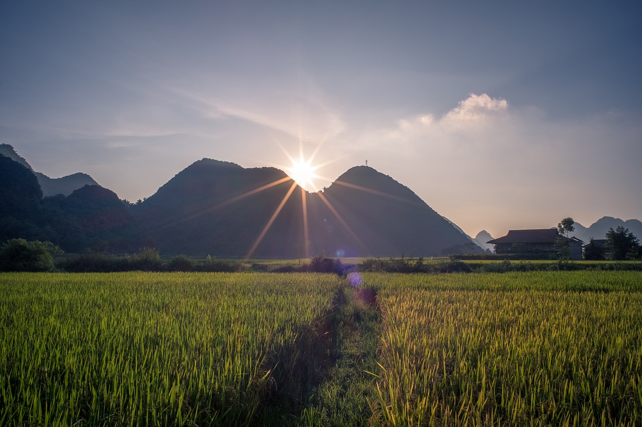 廣東省粵僑匯農(nóng)業(yè)，連接僑心與農(nóng)田的橋梁