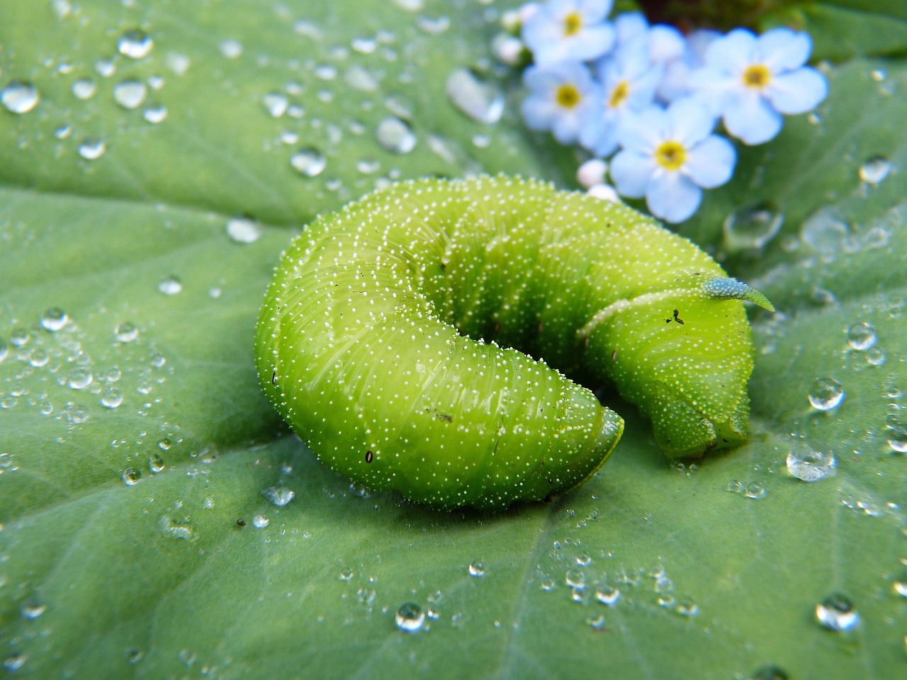 江蘇綠碳環(huán)?？萍?，引領(lǐng)綠色革命，共筑美好未來(lái)